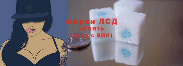 соль ск Магас