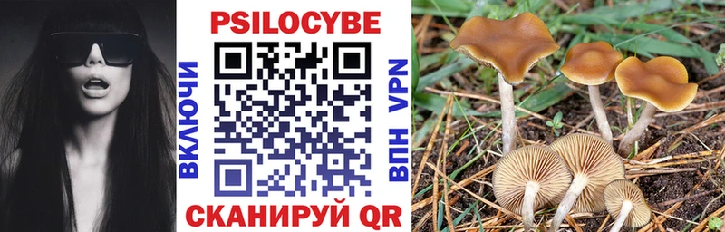 Купить  Болхов  Галлюциногенные грибы мицелий 
